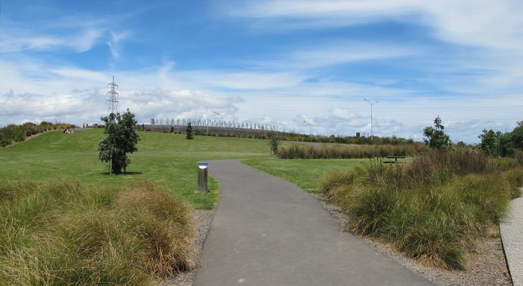 Onehunga Bay Reserve- There are several paths that provide many adventures.