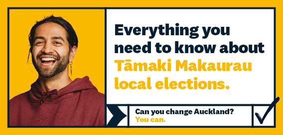 Can you candidate? You can. Stand for local elections.
