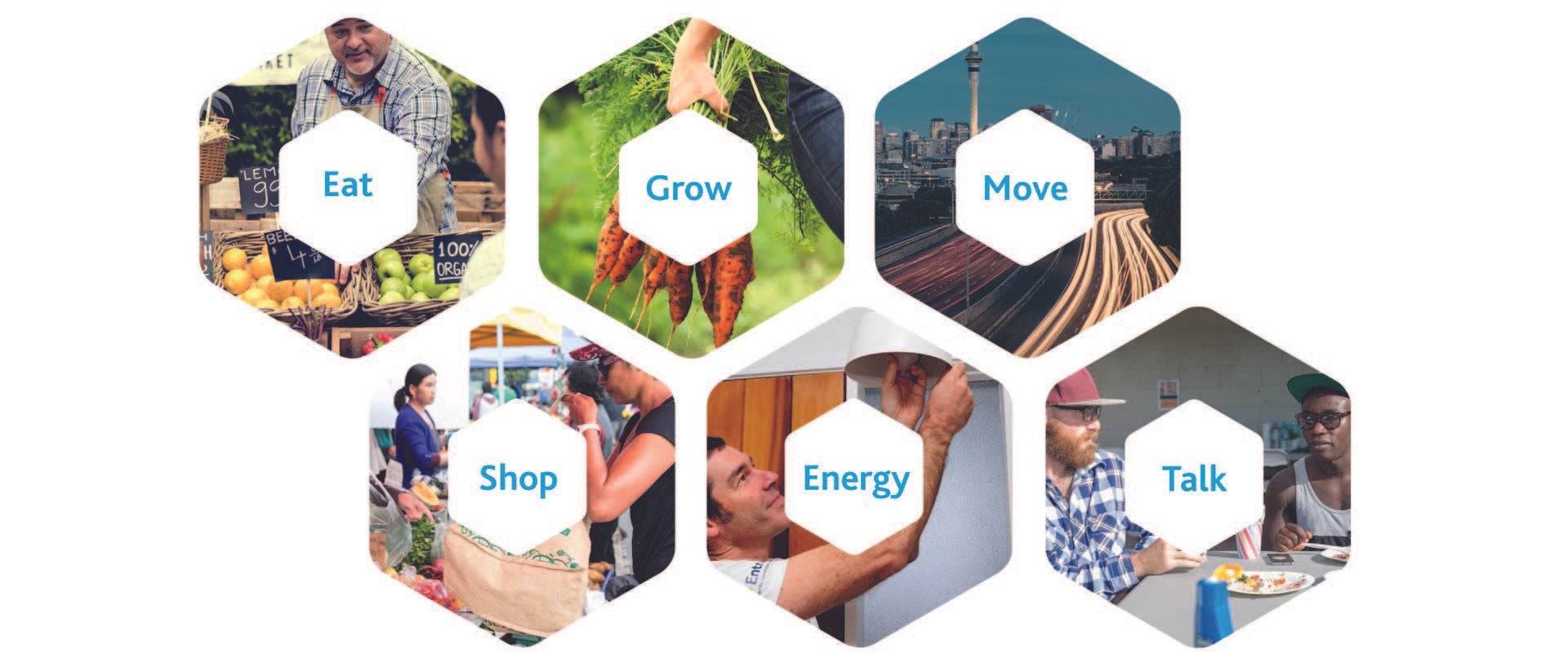 A diagram with the different action themes from Live lightly that include, eat, grow, move, shop, energy and talk.