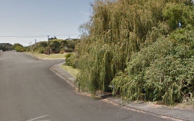 Tree overhanging and obstructing footpath.
