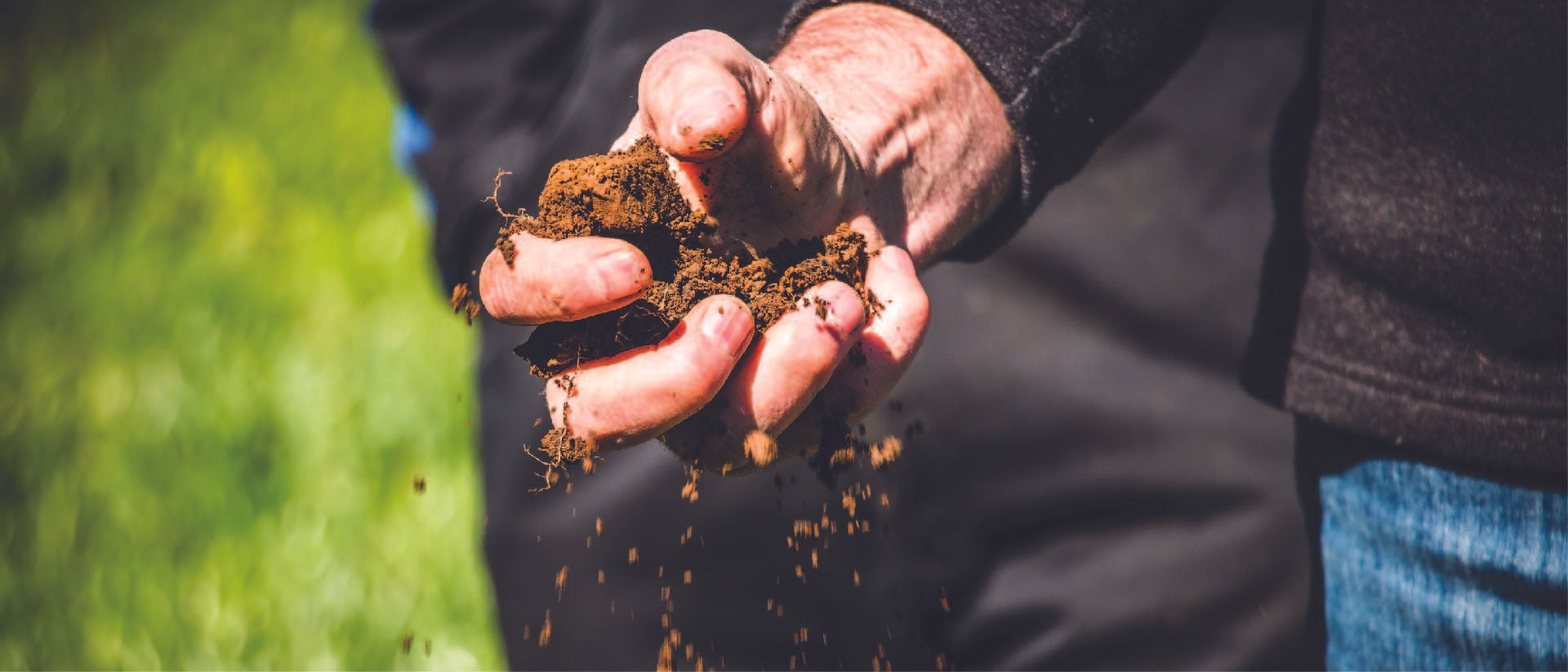 A hand full of soil.
