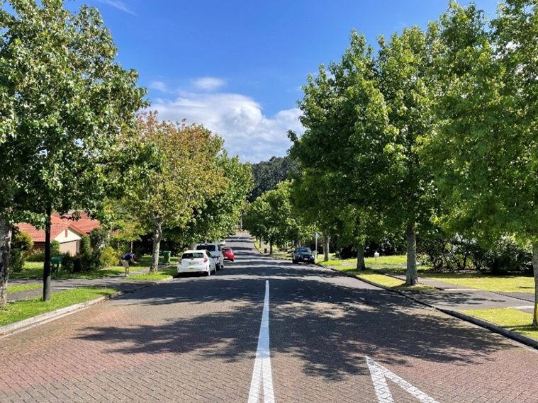 Residential street lined with leafy trees and cars parked along the kerb.