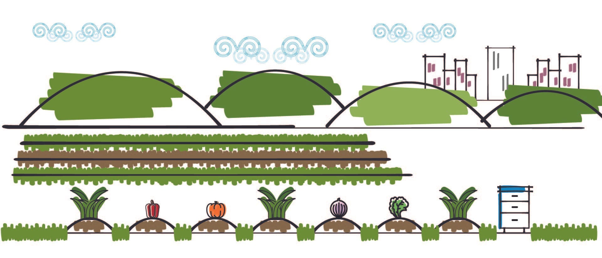 Illustration of local, sustainable food production in the fields near a city.