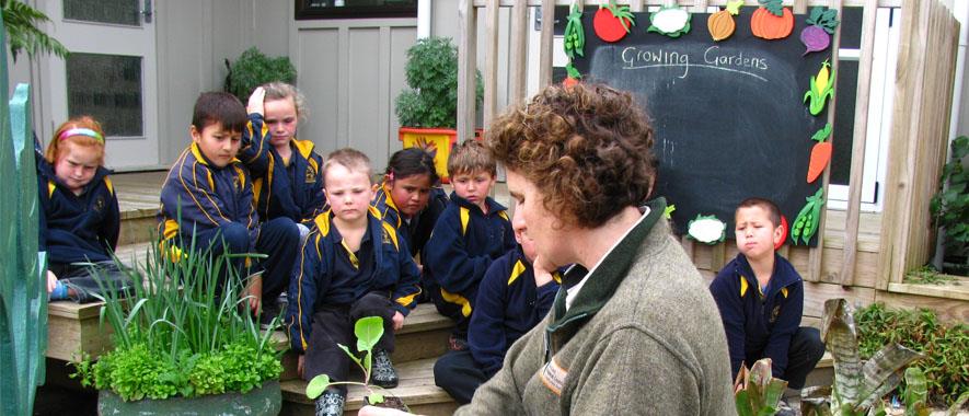 Children being taught about gardens.