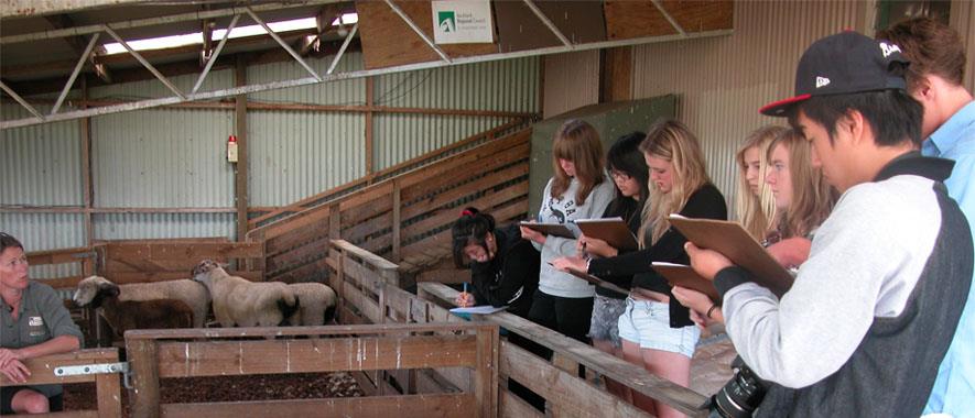 Students learning about animal genetics.