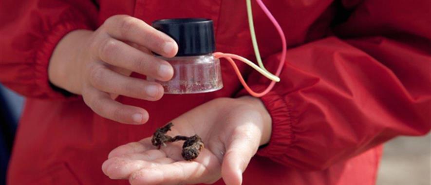 A close-up of a child holding a stamp loupe.
