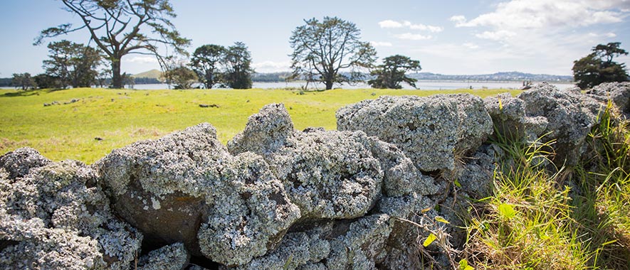 A stone fence in front of grass and trees