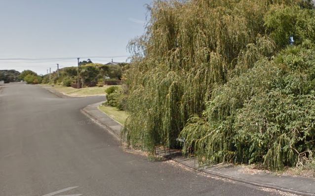 Tree overhanging and obstructing footpath.