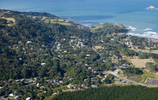 Aerial view of west Auckland coastline and bush areas.