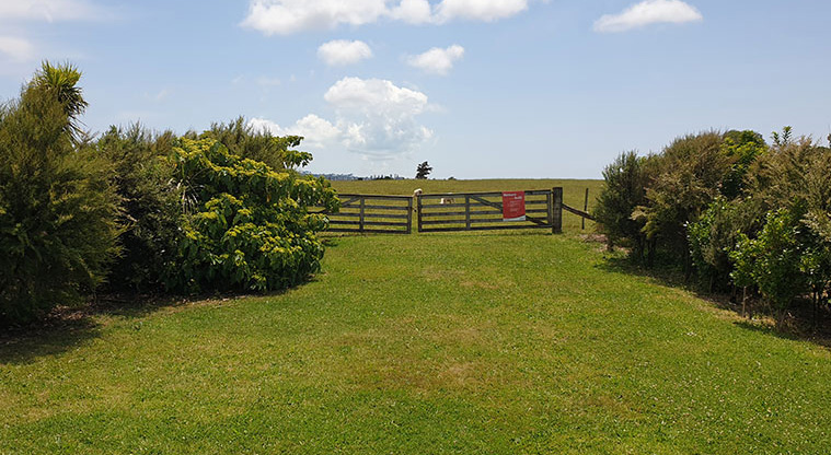 Ambury Campground - Gate at the back of the campground.