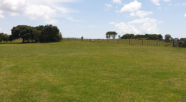Ambury Campground - Camping area.