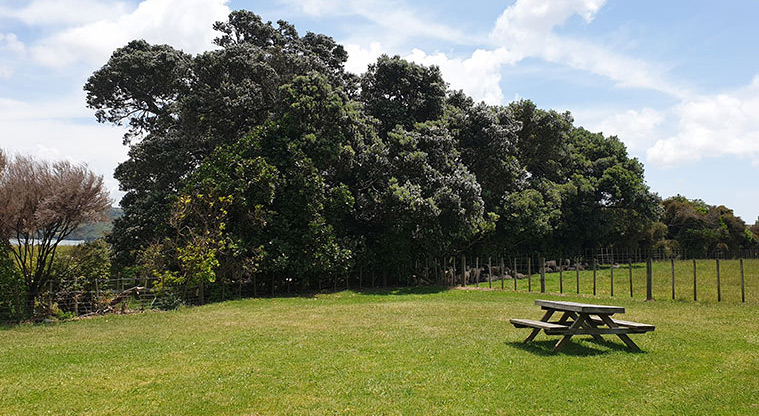Ambury Campground - Picnic table in the camping area.