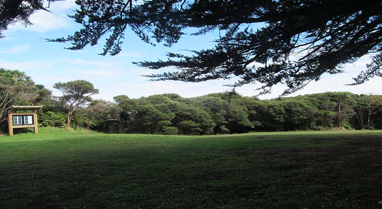 Craw Campground - Grass area surrounded by trees.