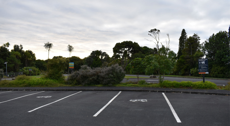 Arataki Visitor Centre CSC overnight parking area — Parking bays.