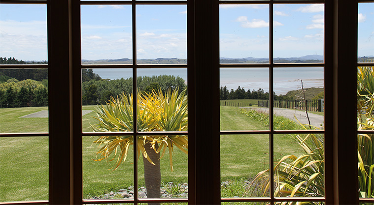 Courtyard House: view from the lounge window