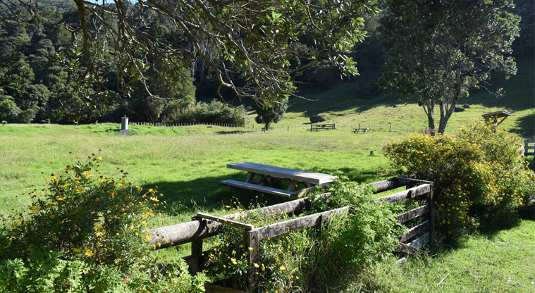 Barn Paddock CSC overnight parking area — Picnic table by the edge of the field.