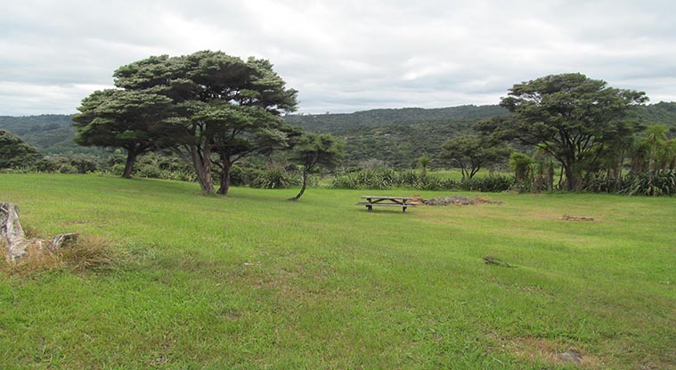 Pae o te Rangi campground - View of the campground.
