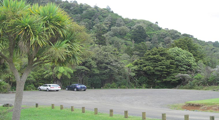 Cascade Kauri CSC parking area - Parking area for CSC vehicles.