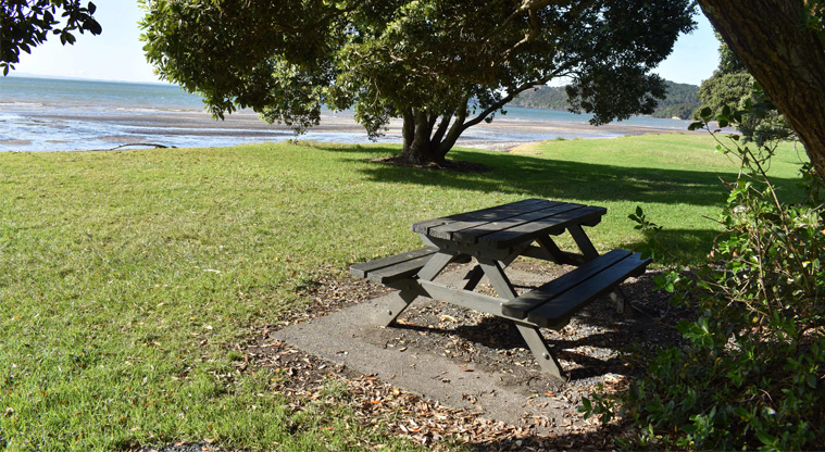 Cornwallis CSC parking area — Picnic table under the shade of a tree.