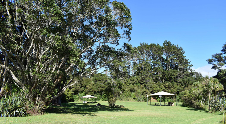 Cornwallis CSC parking area — Picnic tables.
