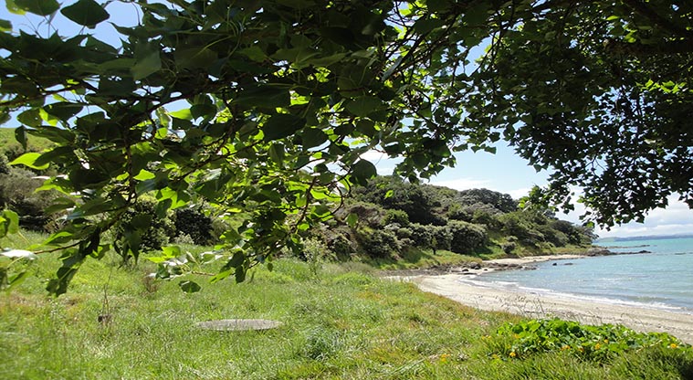 Te Wharau (Malua Bay) campground - View looking out over the bay.