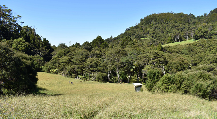 Karamatura Valley campground — Camping area and surroundings.