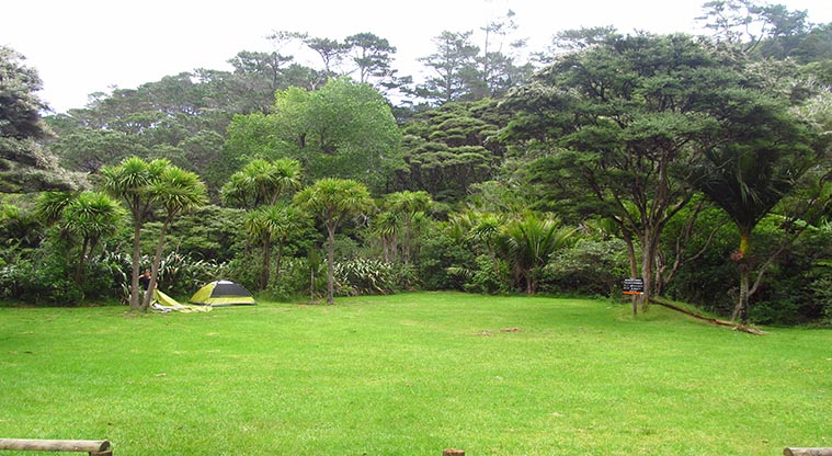 McCreadies Paddock campsite - Camping area.