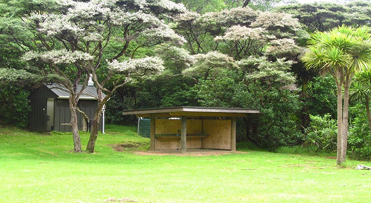 McCreadies Paddock campsite - Open shelter and toilets.