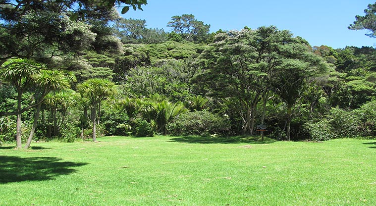 McCreadies Paddock campsite - Camping area.