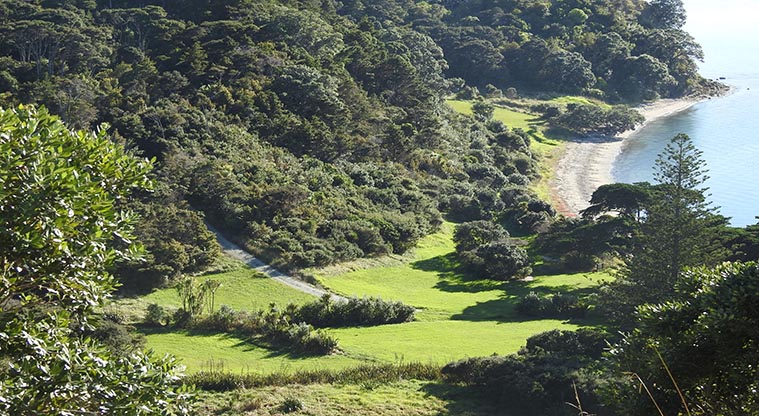 Mita Bay campground - Walking track to the campground.