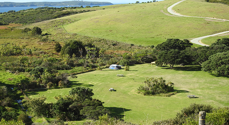 Te Haruhi Bay campground - View of the campground area.