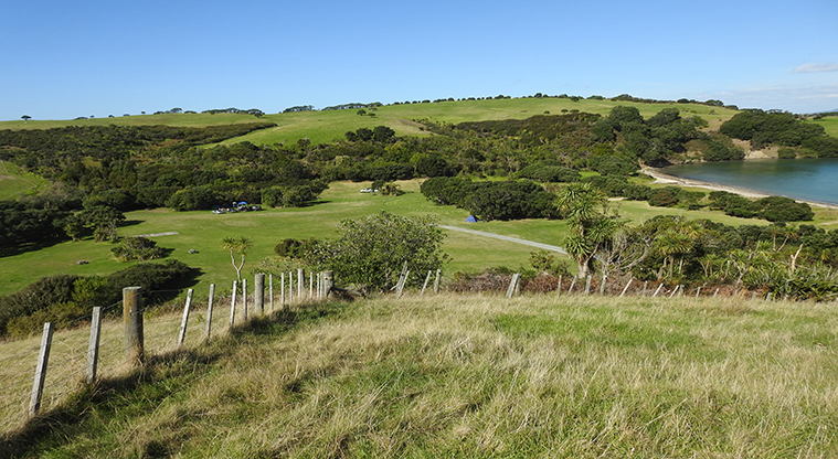 Te Haruhi Bay campground - View looking down over the campground and surrounding area.