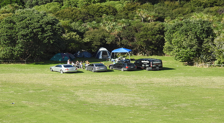Te Haruhi Bay campground - Camping area with cars and tents.