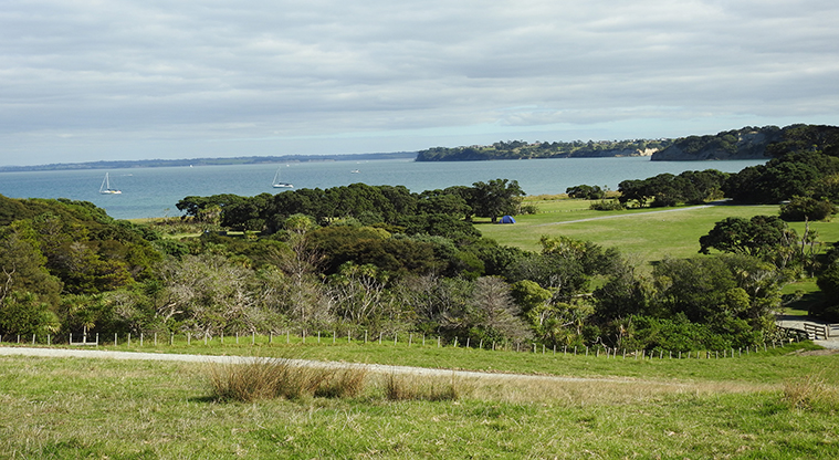 Te Haruhi Bay campground - View of the campground and surrounding area.