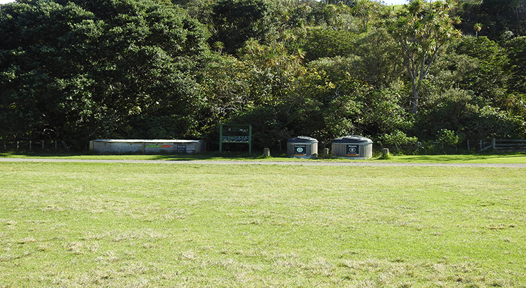 Te Haruhi Bay campground - Camping area.
