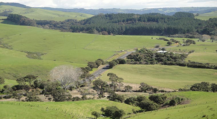 Tapapakanga Bach - Aerial view of the bach.