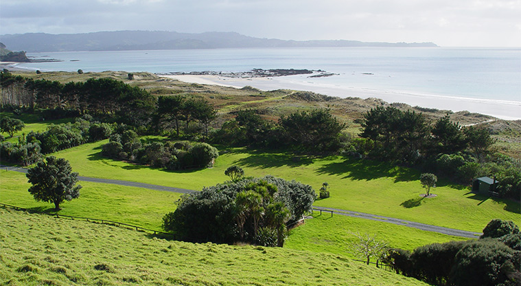 Tawharanui Campground - One of the sections of the campground looking out over sand dunes and the bay.