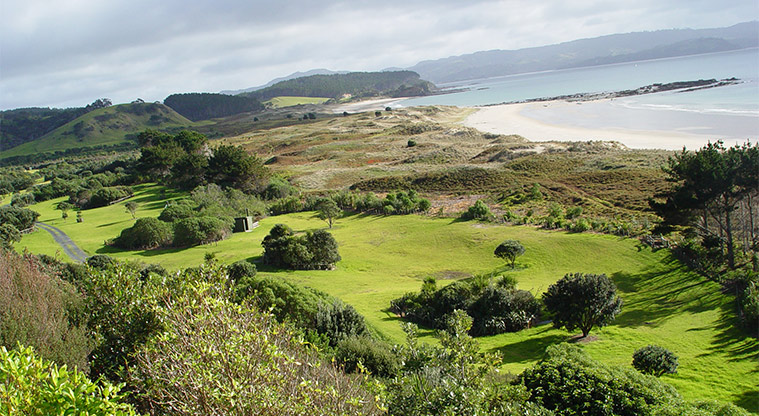 Tawharanui Campground - One of the sections of the campground looking out over sand dunes and the bay.