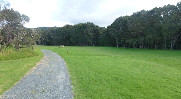 Blackberry Flats campground - Road into the campground.