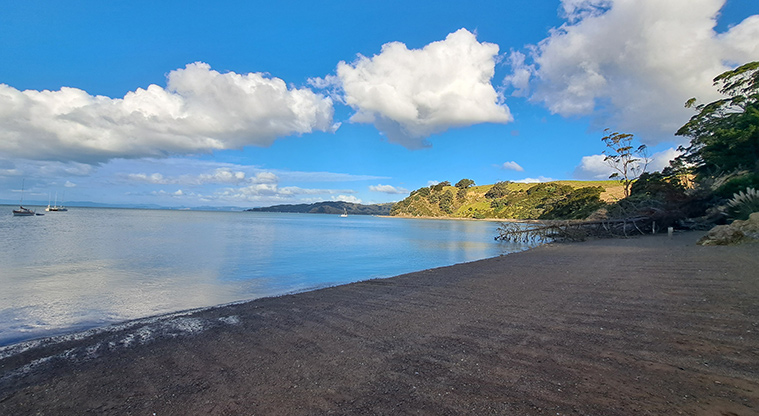 Waitawa bay (Sea kayak) campground - Section of the beach in front of the campground.
