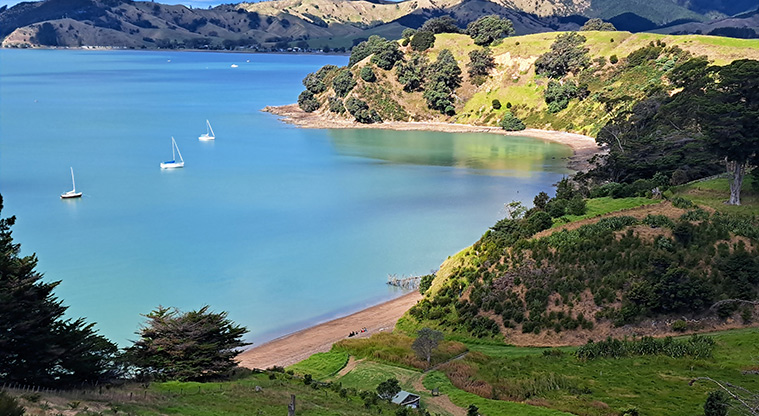 Waitawa bay (Sea kayak) campground - Looking down on the campground from the top of the hill.