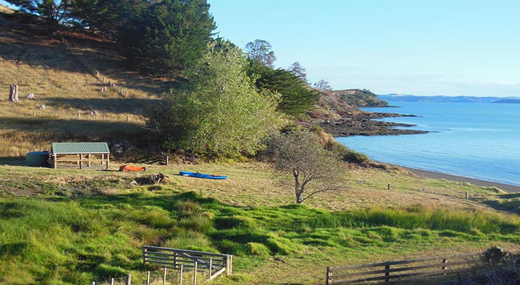 Waitawa bay (Sea kayak) campground - Camping area with an open shelter.