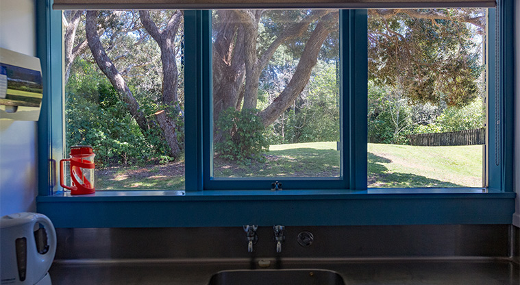 Wenderholm Beach House - View from the kitchen window.