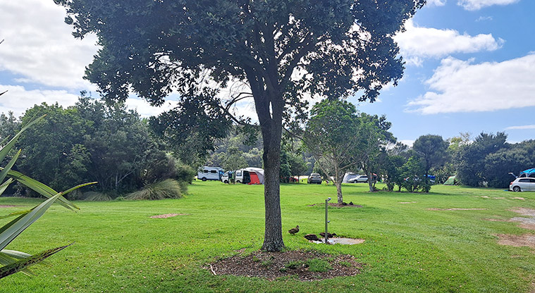 Schischka campground - View of the camping and surrounding areas.
