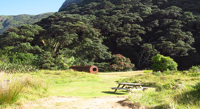 Tunnel campsite - Camping area surrounded by bush.