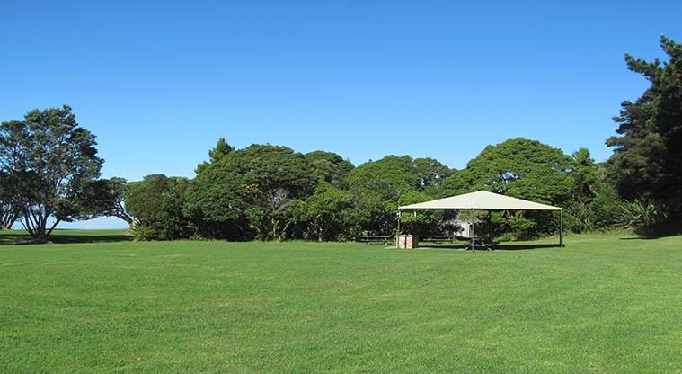 Cornwallis, Waitākere Ranges Regional Park (Pūponga Peninsula) - Open grassed area with a large umbrella and trees in the background.