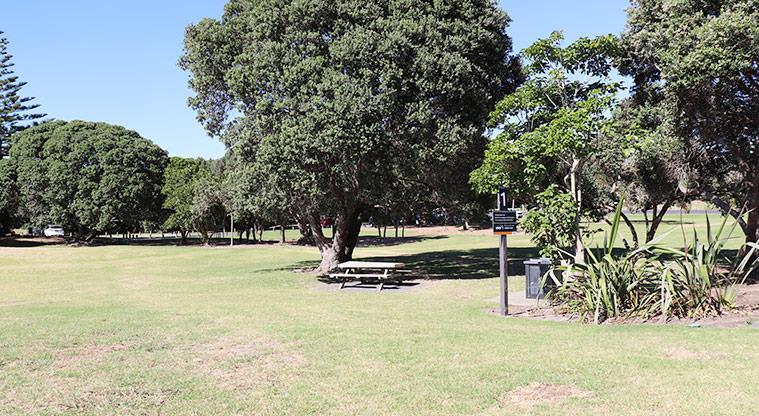 Long Bay Regional Park - Bookable site one with open space, picnic table, barbecue and site sign.