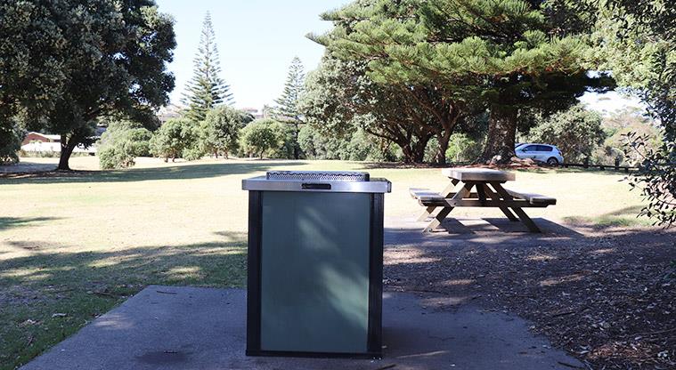 Long Bay Regional Park - Bookable site two electric barbecue and picnic table with open space and trees in the background.