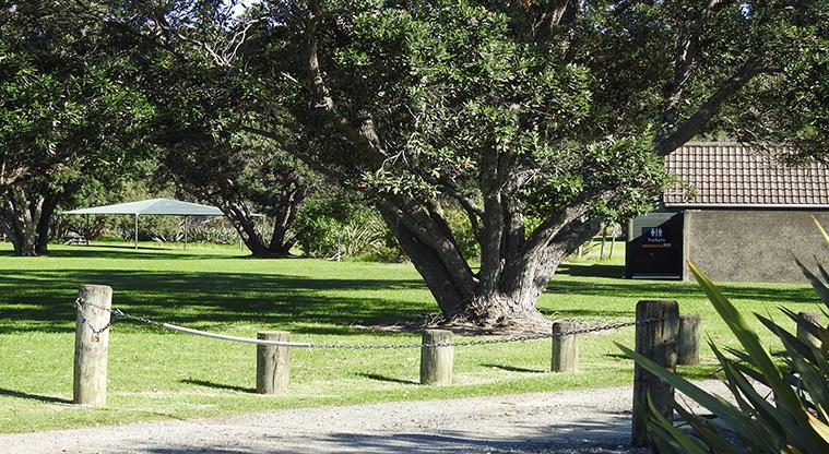 Shakespear Regional Park - Bookable site five with a chain across the entrance, bollards and large trees.