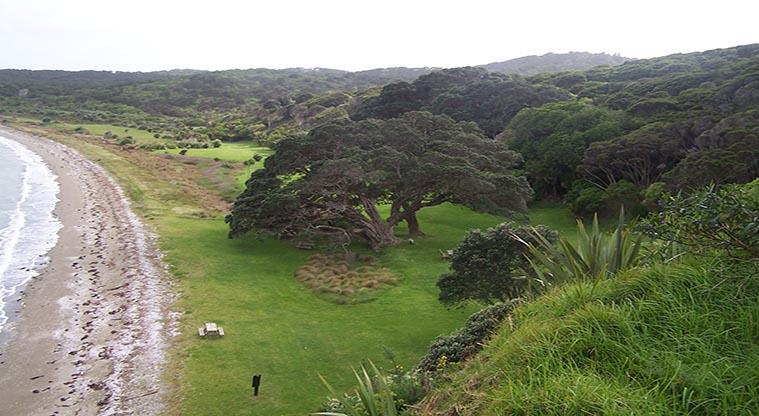 Whakanewha Regional Park - Bookable site one from the top of the hill showing the open space, trees and beach.